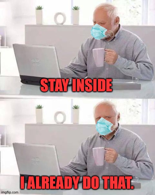 Harold Isolates In His House | STAY INSIDE; I ALREADY DO THAT. | image tagged in memes,hide the pain harold | made w/ Imgflip meme maker