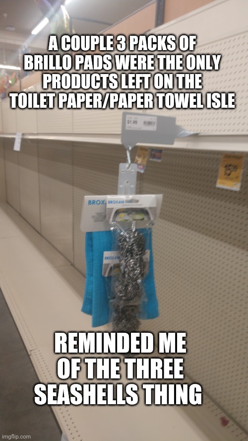 REMINDED ME OF THE THREE SEASHELLS THING A COUPLE 3 PACKS OF BRILLO PADS WERE THE ONLY PRODUCTS LEFT ON THE TOILET PAPER/PAPER TOWEL ISLE | made w/ Imgflip meme maker