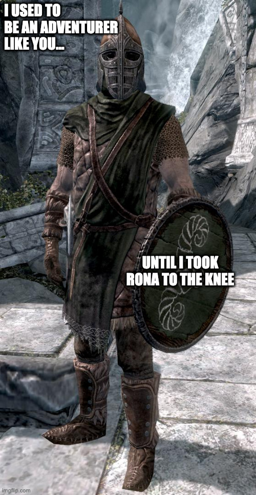 Skyrim Guard | I USED TO BE AN ADVENTURER LIKE YOU... UNTIL I TOOK RONA TO THE KNEE | image tagged in skyrim guard | made w/ Imgflip meme maker