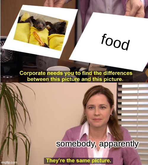 They're The Same Picture Meme | food; somebody, apparently | image tagged in memes,they're the same picture | made w/ Imgflip meme maker