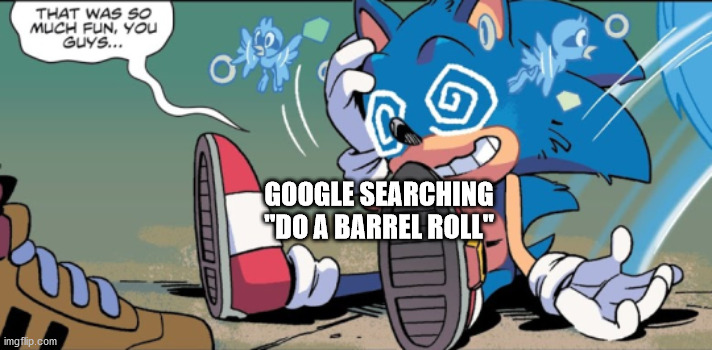 that was so much fun..... | GOOGLE SEARCHING "DO A BARREL ROLL" | image tagged in that was so much fun | made w/ Imgflip meme maker