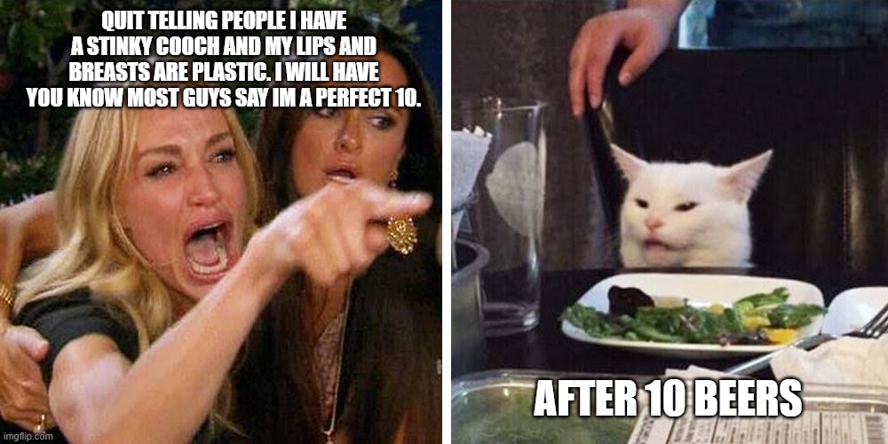 the perfect 10 | QUIT TELLING PEOPLE I HAVE A STINKY COOCH AND MY LIPS AND BREASTS ARE PLASTIC. I WILL HAVE YOU KNOW MOST GUYS SAY IM A PERFECT 10. AFTER 10 BEERS | image tagged in smudge the cat,funny memes,dating | made w/ Imgflip meme maker