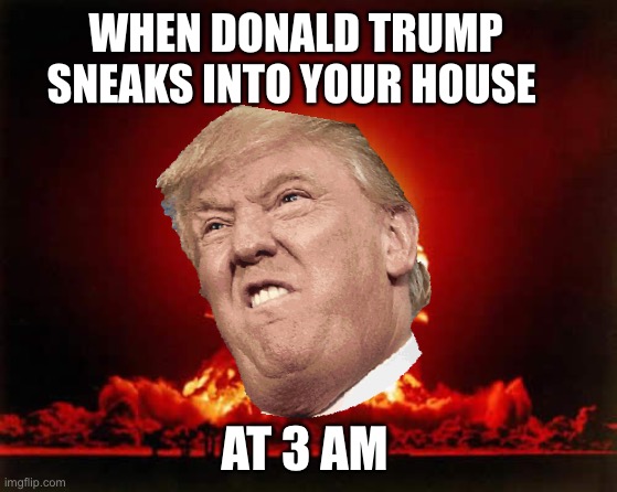 Donald Trump Disaster | WHEN DONALD TRUMP SNEAKS INTO YOUR HOUSE; AT 3 AM | image tagged in donald trump,memes,nuclear explosion | made w/ Imgflip meme maker