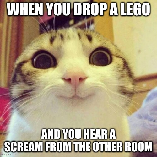 Smiling Cat | WHEN YOU DROP A LEGO; AND YOU HEAR A SCREAM FROM THE OTHER ROOM | image tagged in memes,smiling cat | made w/ Imgflip meme maker