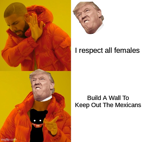 Drake Hotline Bling Meme | I respect all females; Build A Wall To Keep Out The Mexicans | image tagged in memes,drake hotline bling | made w/ Imgflip meme maker