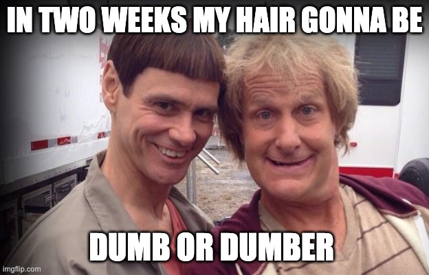 IN TWO WEEKS MY HAIR GONNA BE; DUMB OR DUMBER | image tagged in covid19,covid-19,hair | made w/ Imgflip meme maker