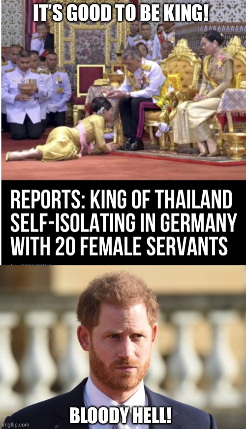 Would’a Could’a Should’a | IT’S GOOD TO BE KING! BLOODY HELL! | image tagged in covid-19,quarantine,prince harry | made w/ Imgflip meme maker