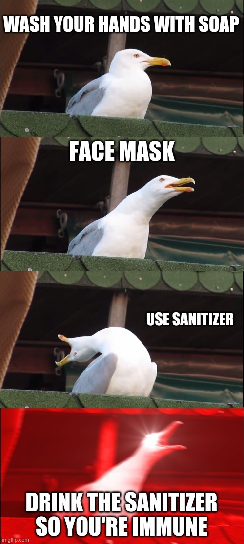 Inhaling Seagull | WASH YOUR HANDS WITH SOAP; FACE MASK; USE SANITIZER; DRINK THE SANITIZER SO YOU'RE IMMUNE | image tagged in memes,inhaling seagull | made w/ Imgflip meme maker