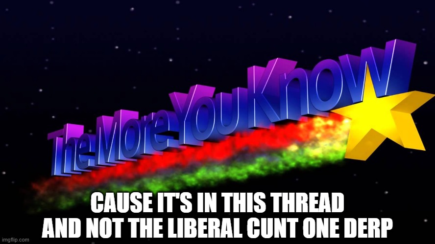 CAUSE IT'S IN THIS THREAD AND NOT THE LIBERAL C**T ONE DERP | made w/ Imgflip meme maker