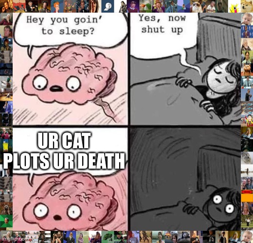 waking up brain | UR CAT PLOTS UR DEATH | image tagged in waking up brain | made w/ Imgflip meme maker