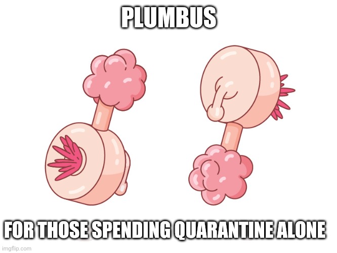 PLUMBUS; FOR THOSE SPENDING QUARANTINE ALONE | image tagged in funny memes | made w/ Imgflip meme maker