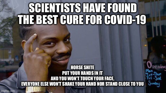 Roll Safe Think About It | SCIENTISTS HAVE FOUND THE BEST CURE FOR COVID-19; HORSE SHITE 
PUT YOUR HANDS IN IT 
AND YOU WON'T TOUCH YOUR FACE, 

EVERYONE ELSE WON'T SHAKE YOUR HAND NOR STAND CLOSE TO YOU | image tagged in memes,roll safe think about it | made w/ Imgflip meme maker