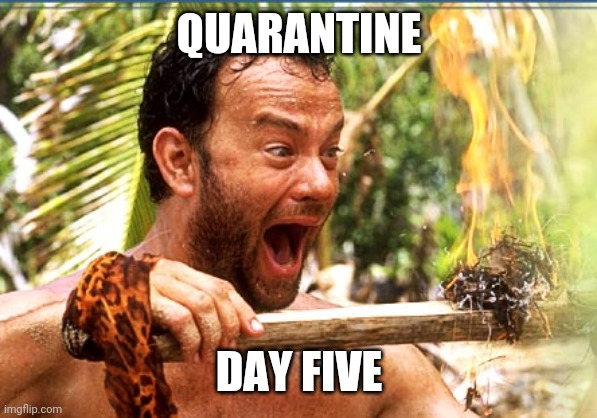 Castaway Fire | QUARANTINE; DAY FIVE | image tagged in memes,castaway fire | made w/ Imgflip meme maker