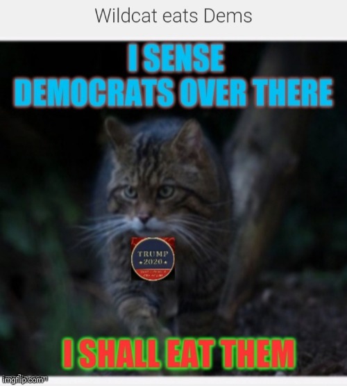 image tagged in cats,libtards,get out | made w/ Imgflip meme maker