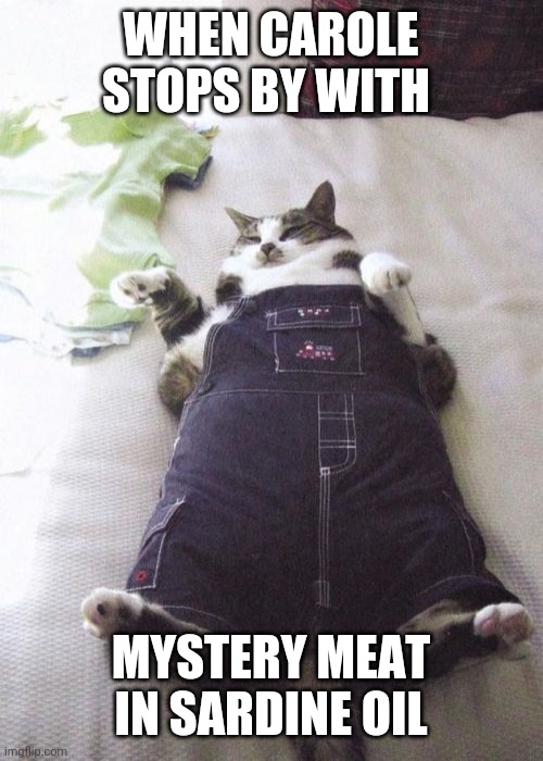 Fat Cat Meme | WHEN CAROLE STOPS BY WITH; MYSTERY MEAT IN SARDINE OIL | image tagged in memes,fat cat | made w/ Imgflip meme maker