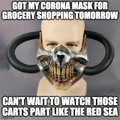 Pandemarketbasket | GOT MY CORONA MASK FOR GROCERY SHOPPING TOMORROW; CAN'T WAIT TO WATCH THOSE CARTS PART LIKE THE RED SEA | image tagged in grocery store | made w/ Imgflip meme maker