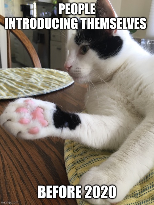 Business cat | PEOPLE INTRODUCING THEMSELVES; BEFORE 2020 | image tagged in business cat | made w/ Imgflip meme maker
