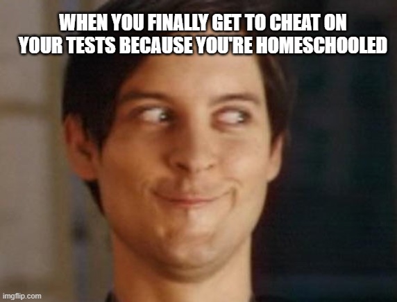 Spiderman Peter Parker | WHEN YOU FINALLY GET TO CHEAT ON YOUR TESTS BECAUSE YOU'RE HOMESCHOOLED | image tagged in memes,spiderman peter parker,home schooled,funny,faces,coronavirus | made w/ Imgflip meme maker