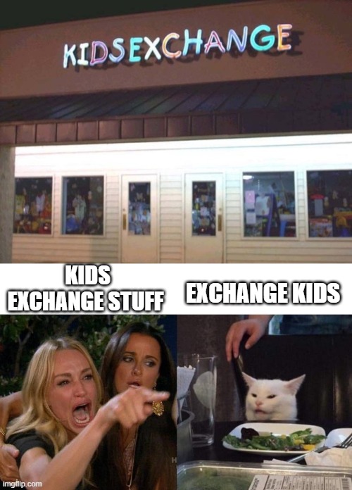 EXCHANGE KIDS; KIDS EXCHANGE STUFF | image tagged in memes,woman yelling at cat | made w/ Imgflip meme maker