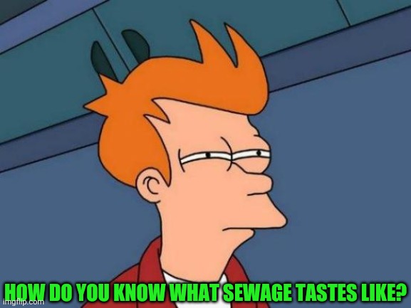 Futurama Fry Meme | HOW DO YOU KNOW WHAT SEWAGE TASTES LIKE? | image tagged in memes,futurama fry | made w/ Imgflip meme maker