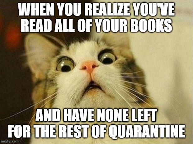 Scared Cat Meme | WHEN YOU REALIZE YOU'VE READ ALL OF YOUR BOOKS; AND HAVE NONE LEFT FOR THE REST OF QUARANTINE | image tagged in memes,scared cat | made w/ Imgflip meme maker