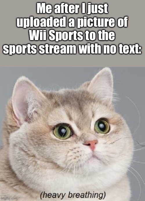 Heavy Breathing Cat | Me after I just uploaded a picture of Wii Sports to the sports stream with no text: | image tagged in memes,heavy breathing cat | made w/ Imgflip meme maker
