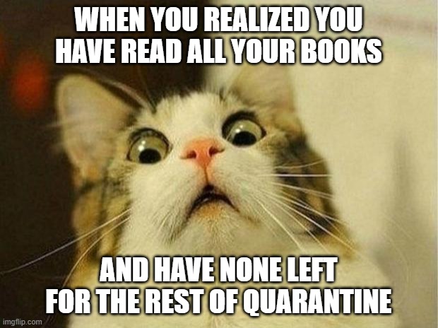 Scared Cat | WHEN YOU REALIZED YOU HAVE READ ALL YOUR BOOKS; AND HAVE NONE LEFT FOR THE REST OF QUARANTINE | image tagged in memes,scared cat | made w/ Imgflip meme maker