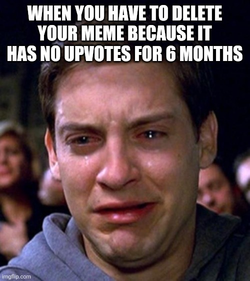crying peter parker | WHEN YOU HAVE TO DELETE YOUR MEME BECAUSE IT HAS NO UPVOTES FOR 6 MONTHS | image tagged in crying peter parker | made w/ Imgflip meme maker