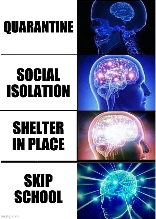 Expanding Brain Meme | QUARANTINE; SOCIAL ISOLATION; SHELTER IN PLACE; SKIP SCHOOL | image tagged in memes,expanding brain | made w/ Imgflip meme maker