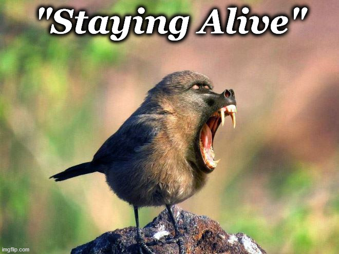 stay | "Staying Alive" | image tagged in stay | made w/ Imgflip meme maker