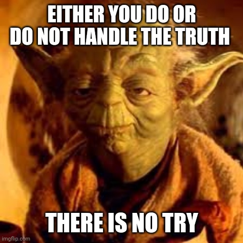 Yoda You Will Be | EITHER YOU DO OR DO NOT HANDLE THE TRUTH THERE IS NO TRY | image tagged in yoda you will be | made w/ Imgflip meme maker