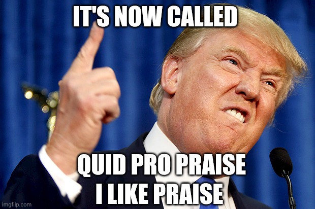 Donald Trump | IT'S NOW CALLED QUID PRO PRAISE I LIKE PRAISE | image tagged in donald trump | made w/ Imgflip meme maker