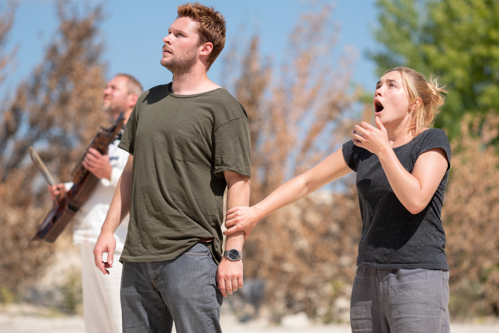 High Quality midsommar fall Blank Meme Template