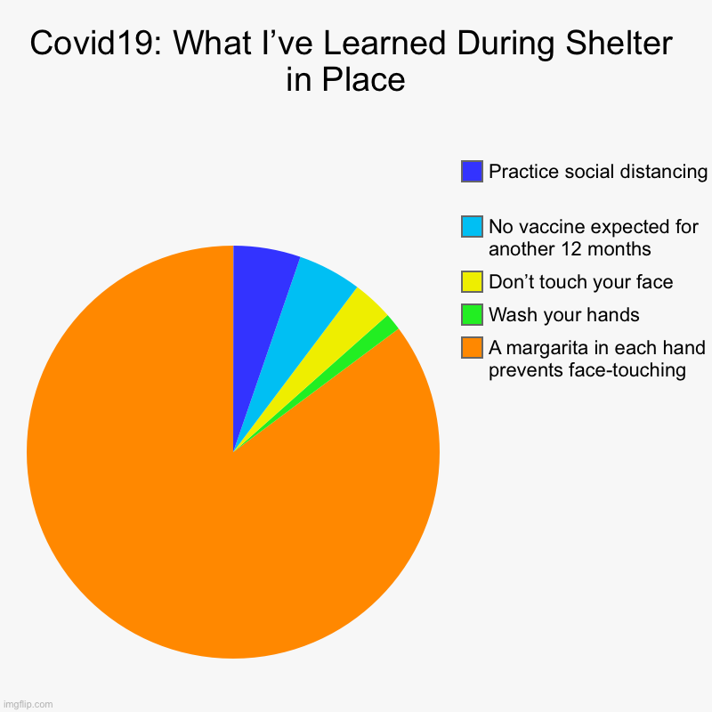 Covid19: What I’ve Learned During Shelter in Place  | A margarita in each hand prevents face-touching, Wash your hands , Don’t touch your fa | image tagged in charts,pie charts | made w/ Imgflip chart maker