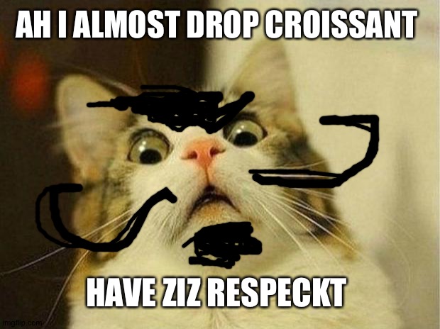 Scared Cat Meme | AH I ALMOST DROP CROISSANT; HAVE ZIZ RESPECKT | image tagged in memes,scared cat | made w/ Imgflip meme maker