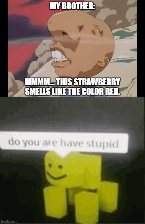 MY BROTHER:; MMMM... THIS STRAWBERRY SMELLS LIKE THE COLOR RED. | image tagged in sniff,do you are have stupid | made w/ Imgflip meme maker