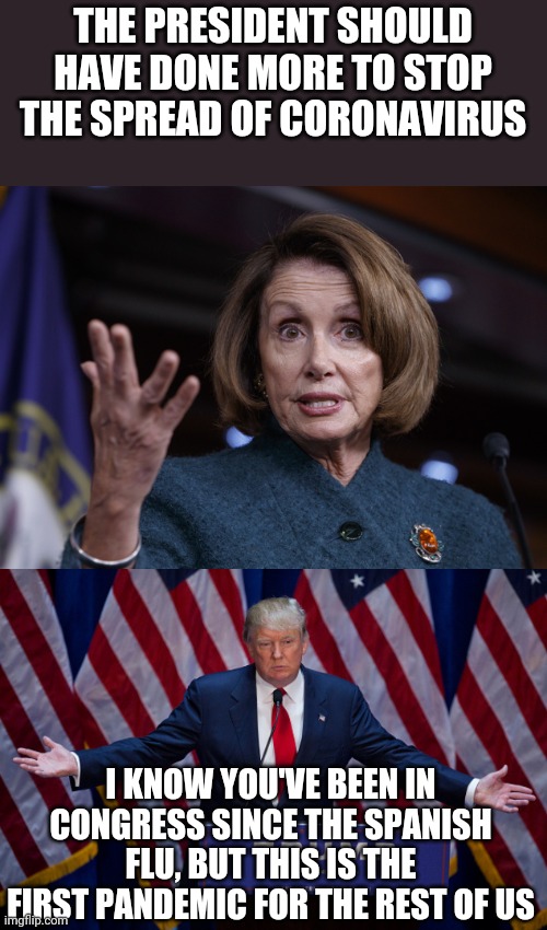 Monday morning quarterbacking is not useful | THE PRESIDENT SHOULD HAVE DONE MORE TO STOP THE SPREAD OF CORONAVIRUS; I KNOW YOU'VE BEEN IN CONGRESS SINCE THE SPANISH FLU, BUT THIS IS THE FIRST PANDEMIC FOR THE REST OF US | image tagged in donald trump,good old nancy pelosi | made w/ Imgflip meme maker