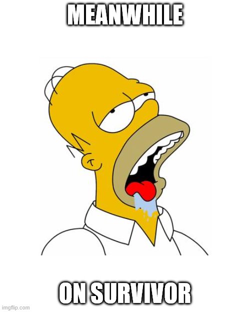 Homer Simpson Drooling | MEANWHILE; ON SURVIVOR | image tagged in homer simpson drooling | made w/ Imgflip meme maker