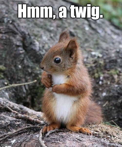 Hmm, a twig. | made w/ Imgflip meme maker