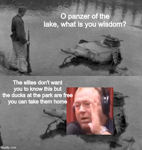 Panzer of the lake | O panzer of the lake, what is you wisdom? The elites don't want you to know this but the ducks at the park are free
you can take them home | image tagged in panzer of the lake | made w/ Imgflip meme maker