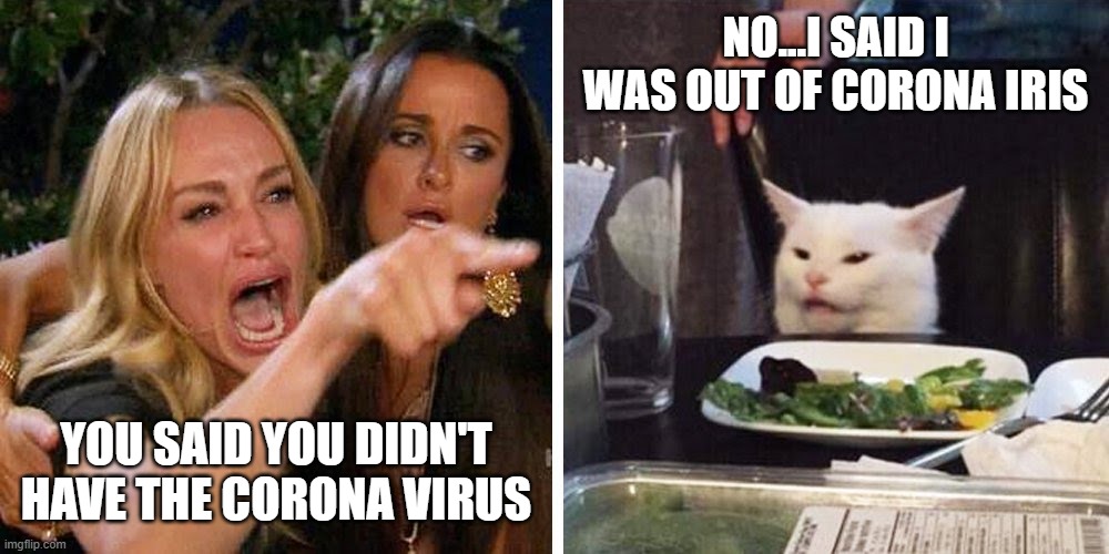 Smudge the cat | NO...I SAID I WAS OUT OF CORONA IRIS; YOU SAID YOU DIDN'T HAVE THE CORONA VIRUS | image tagged in smudge the cat | made w/ Imgflip meme maker