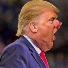 Trump Pig Nose looking for dirt Blank Meme Template