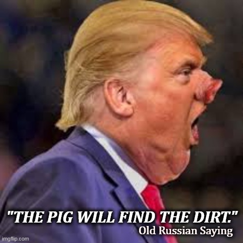 Shovel it and they will come. | "THE PIG WILL FIND THE DIRT."; Old Russian Saying | image tagged in trump pig nose looking for dirt,trump,pig,dirt | made w/ Imgflip meme maker