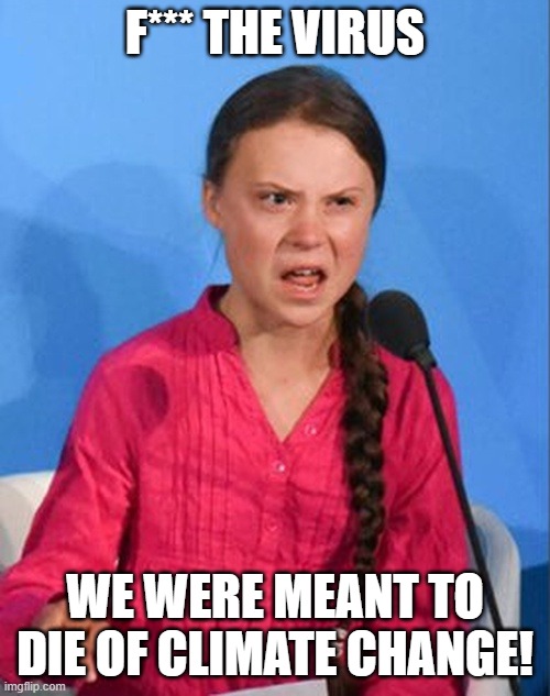 Greta Thunberg how dare you | F*** THE VIRUS; WE WERE MEANT TO DIE OF CLIMATE CHANGE! | image tagged in greta thunberg how dare you | made w/ Imgflip meme maker