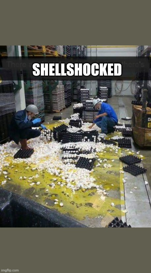 Shellshocked | SHELLSHOCKED | image tagged in funny egg,funny shellshocked | made w/ Imgflip meme maker