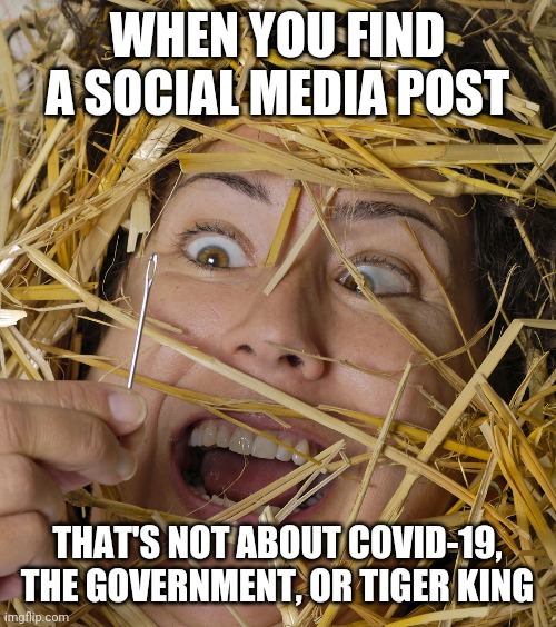 I'm over all of you | WHEN YOU FIND A SOCIAL MEDIA POST; THAT'S NOT ABOUT COVID-19, THE GOVERNMENT, OR TIGER KING | image tagged in funny,annoyed | made w/ Imgflip meme maker