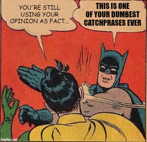 Sometimes my opinion is just, like, my opinion, man. Mind blown yet? | YOU'RE STILL USING YOUR OPINION AS FACT... THIS IS ONE OF YOUR DUMBEST CATCHPRASES EVER | image tagged in memes,batman slapping robin,opinion,opinions,fact,debate | made w/ Imgflip meme maker