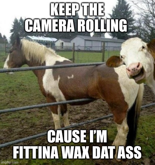 Photobomb | KEEP THE CAMERA ROLLING; CAUSE I’M FITTINA WAX DAT ASS | image tagged in cows,funny,sexual,horses,photobombs,animals | made w/ Imgflip meme maker