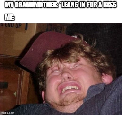 WTF |  MY GRANDMOTHER: *LEANS IN FOR A KISS; ME: | image tagged in memes,wtf | made w/ Imgflip meme maker