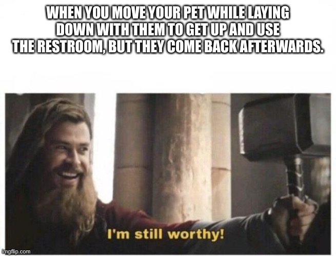 I'm still worthy | WHEN YOU MOVE YOUR PET WHILE LAYING DOWN WITH THEM TO GET UP AND USE THE RESTROOM, BUT THEY COME BACK AFTERWARDS. | image tagged in i'm still worthy | made w/ Imgflip meme maker